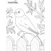 Птички: книжка-раскраска