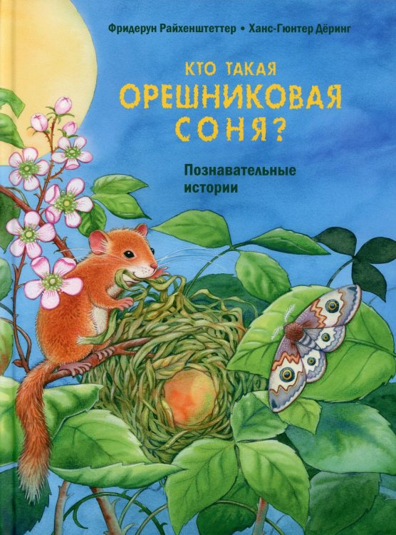 Давай познакомимся Кто такая орешниковая соня? Познавательные истории