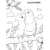 Птички: книжка-раскраска