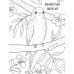 Птички: книжка-раскраска