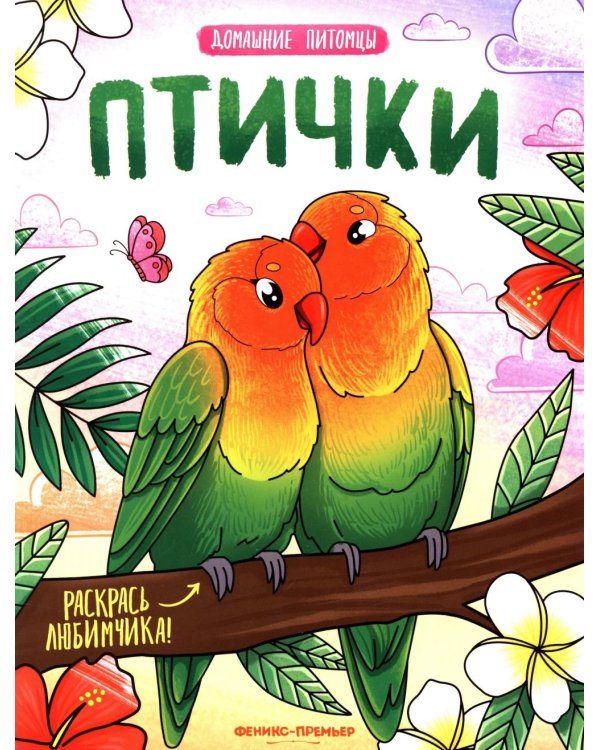 Птички: книжка-раскраска