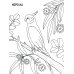 Птички: книжка-раскраска