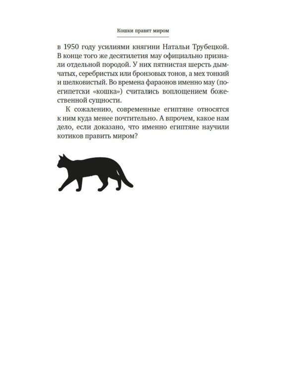 Дополнительное изображение книги «Кошки правят миром»
