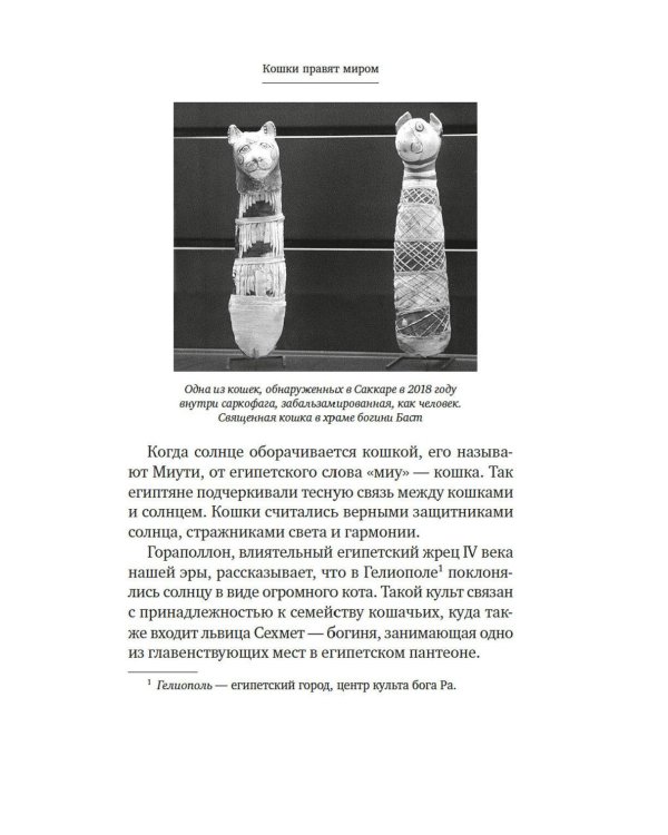 Дополнительное изображение книги «Кошки правят миром»