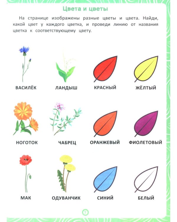Растения: книга-тренажер по развитию речи и логики