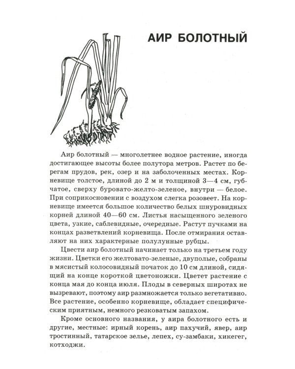 Новейший травник. Растения-целители от А до Я. 8-е изд