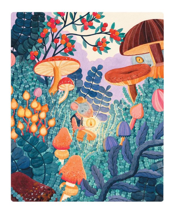 Дополнительное изображение книги «Коллекционерка»