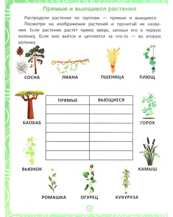 Растения: книга-тренажер по развитию речи и логики