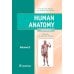 Human Anatomy: textbook. in 2 vol. Volume 2 = Анатомия человека: Учебник.  В 2 т. Т. 2 (кн. на англ. яз.)