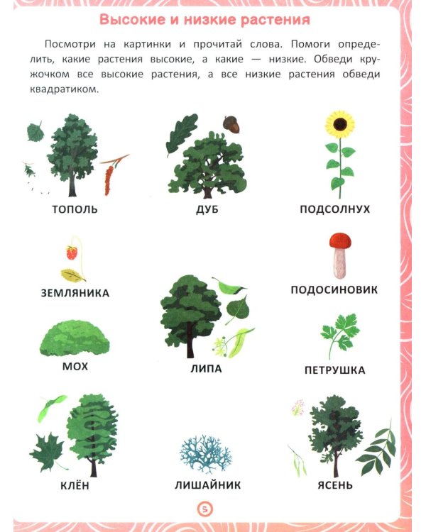 Растения: книга-тренажер по развитию речи и логики