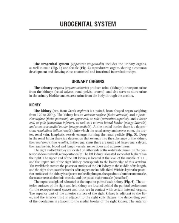 Human Anatomy: textbook. in 2 vol. Volume 2 = Анатомия человека: Учебник.  В 2 т. Т. 2 (кн. на англ. яз.)