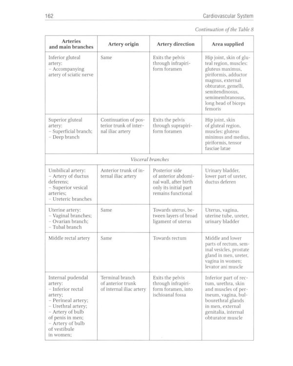 Human Anatomy: textbook. in 2 vol. Volume 2 = Анатомия человека: Учебник.  В 2 т. Т. 2 (кн. на англ. яз.)