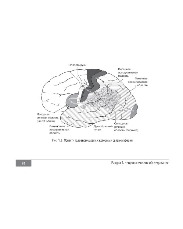 Клинические нормы. Неврология
