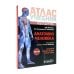 Анатомия человека: атлас: Учебное пособие. В 3 т. Т. 3