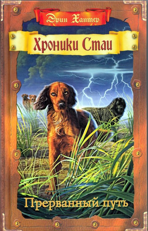 Хроники Стаи Хроники Стаи. Прерванный путь