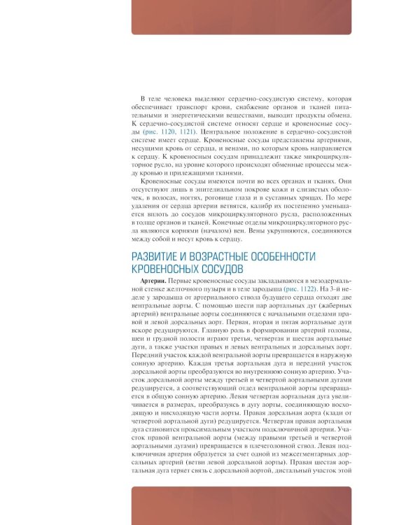 Анатомия человека: атлас: Учебное пособие. В 3 т. Т. 3