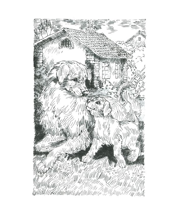 Хроники Стаи. Прерванный путь