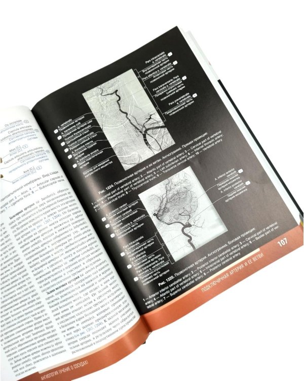 Анатомия человека: атлас: Учебное пособие. В 3 т. Т. 3