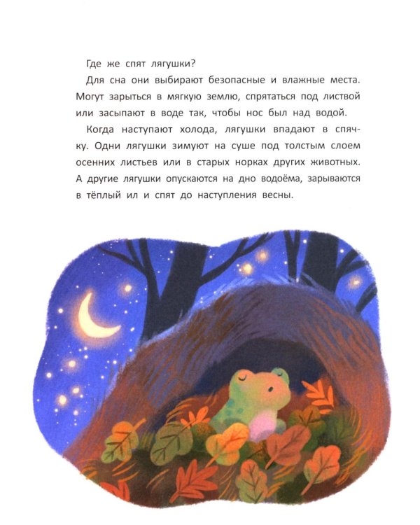 Сказки для сладких снов