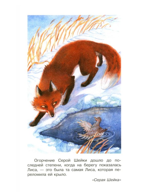 Дополнительное изображение книги «Серая Шейка. Сказки»