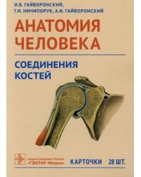 Анатомия человека. Соединения костей. Карточки: наглядное учебное пособие