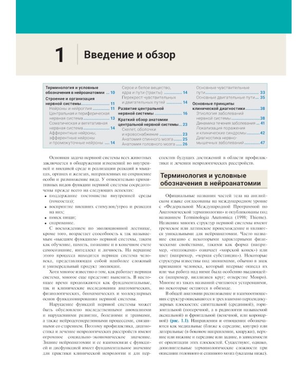 Нейроанатомия. Иллюстрированный атлас