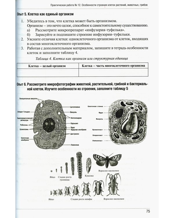 Тетрадь-практикум по биологии. Ч. 1: Учебное пособие
