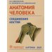 Дополнительное изображение книги «Анатомия человека. Соединения костей. Карточки. Наглядное учебное пособие»