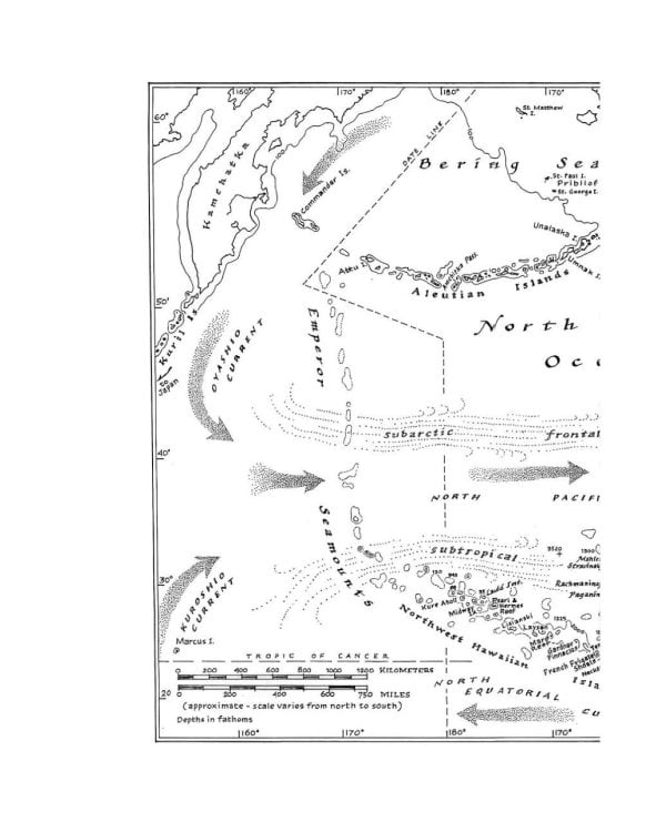 Глазами альбатроса (пер.)