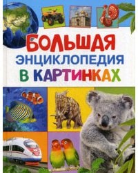 Большая энциклопедия в картинках