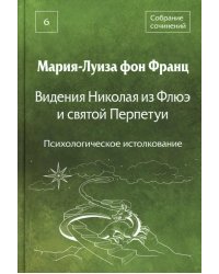 Видения Николая из Флюэ и святой Перпетуи: психологическое истолкование. Т. 6