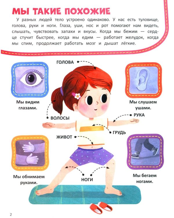 Тело человека: книжка со стикерами