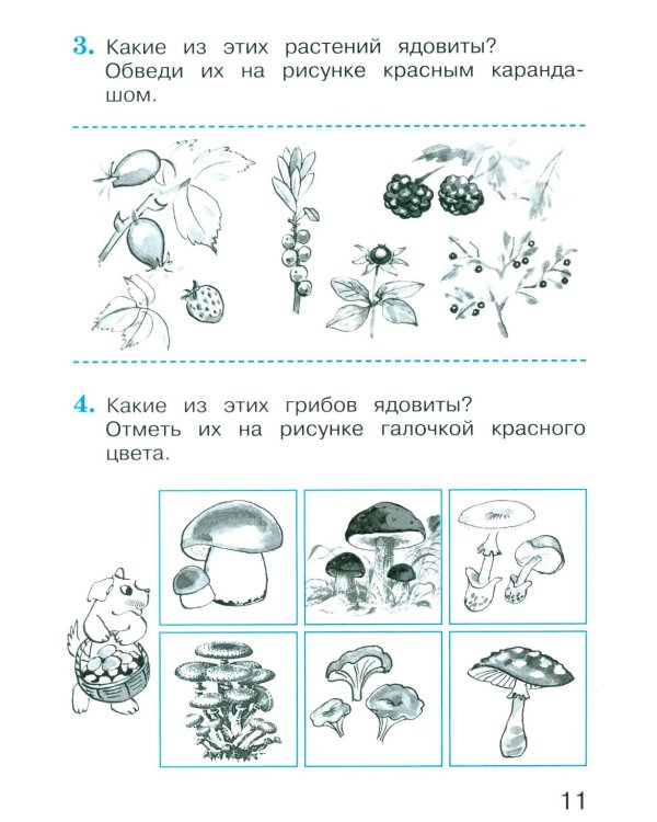 Окружающий мир. 2 кл. В 2 ч. Ч. 2. Тетрадь для тренировки и самопроверки. 14-е изд., стер