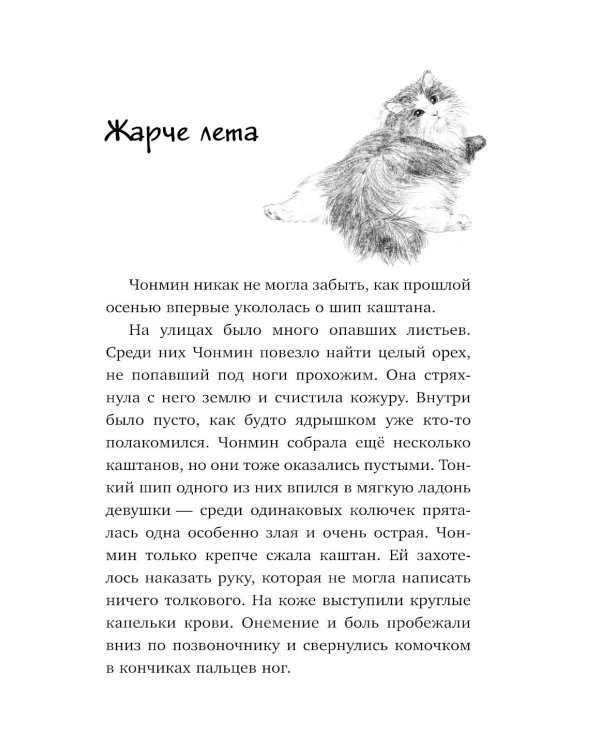 Кошка из мастерской