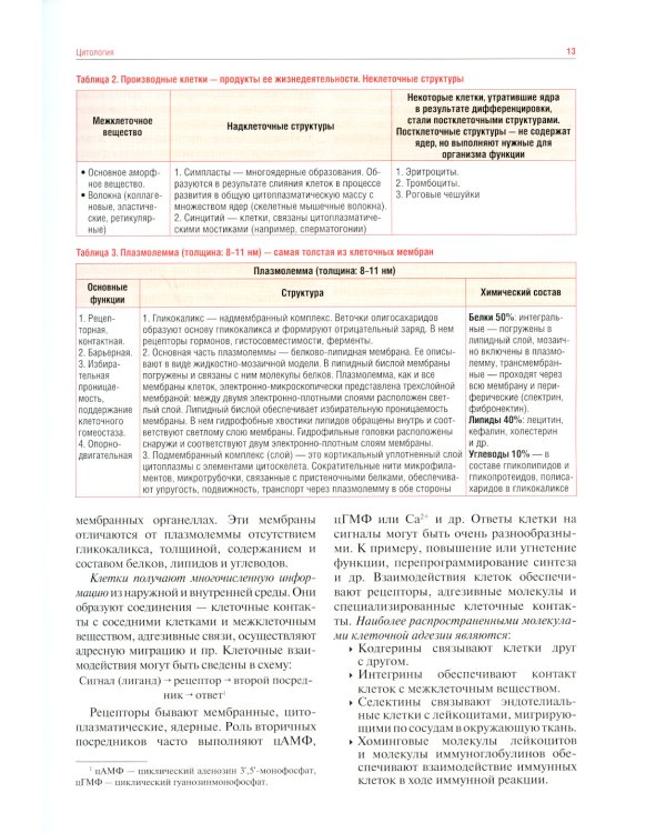 Гистология, эмбриология, цитология. Иллюстрированный курс: Учебное пособие