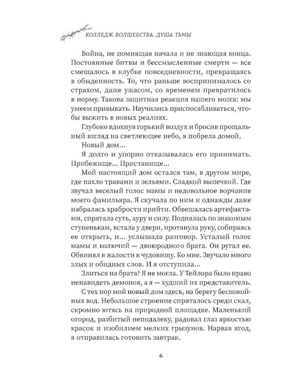 Колледж волшебства. Душа Тьмы