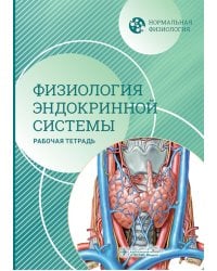 Нормальная физиология. Физиология эндокринной системы. Рабочая тетрадь