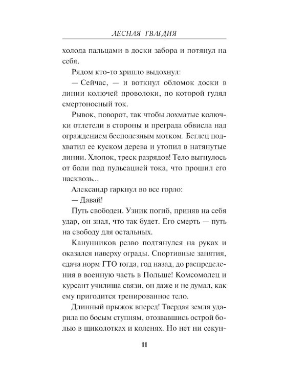 Лесная гвардия