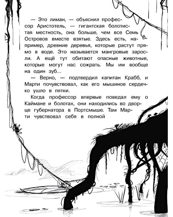 Крысы-пираты. Кн. 4: Секрет болотной колдуньи