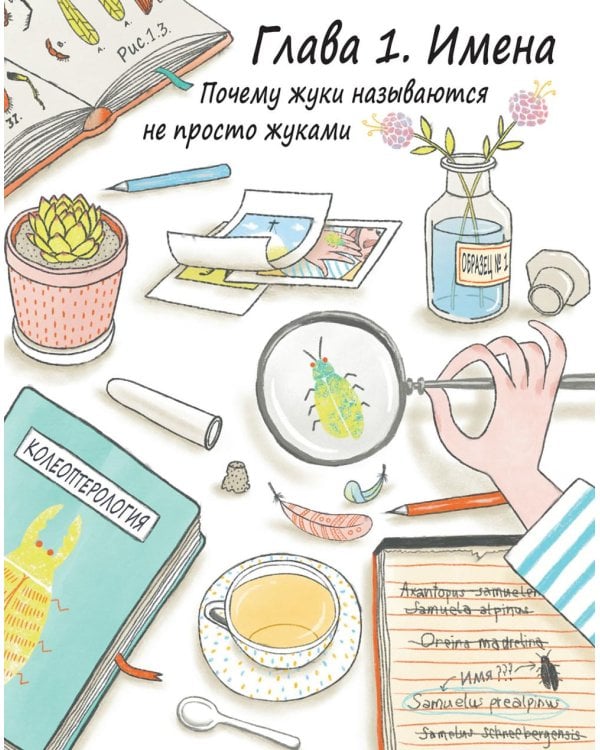 Дополнительное изображение книги «Сэм и эволюция: Краткая история эволюционной биологии»