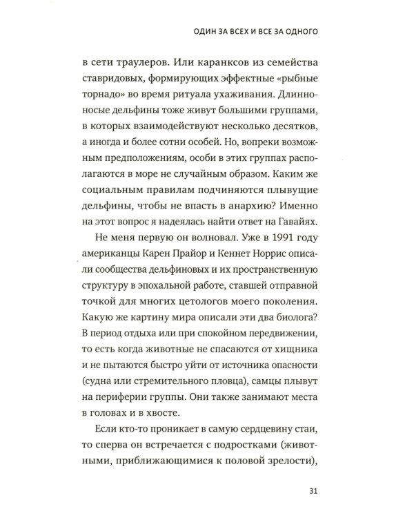 С Дельфинами: навстречу удивительным существам
