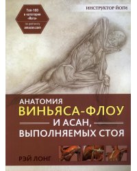 Анатомия виньяса-флоу и асан, выполняемых стоя. 2-е изд