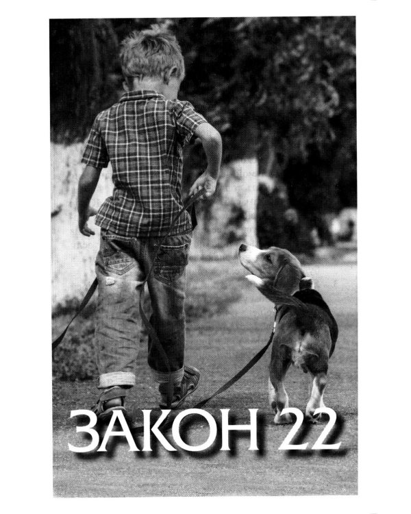 Дополнительное изображение книги «Законы победителей»