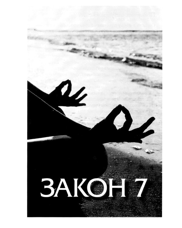 Дополнительное изображение книги «Законы победителей»