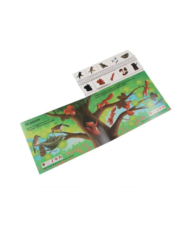 Животные: книжка с карточками на пружине