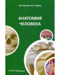 Анатомия человека: Учебное пособие. 4-е изд., стер