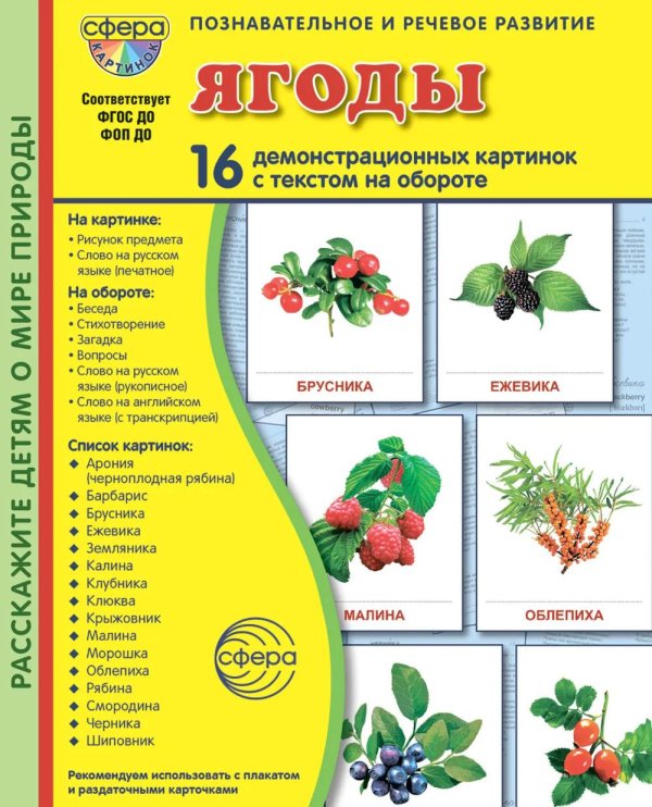 Ягоды. 16 демонстрационных картинок с текстом на обороте