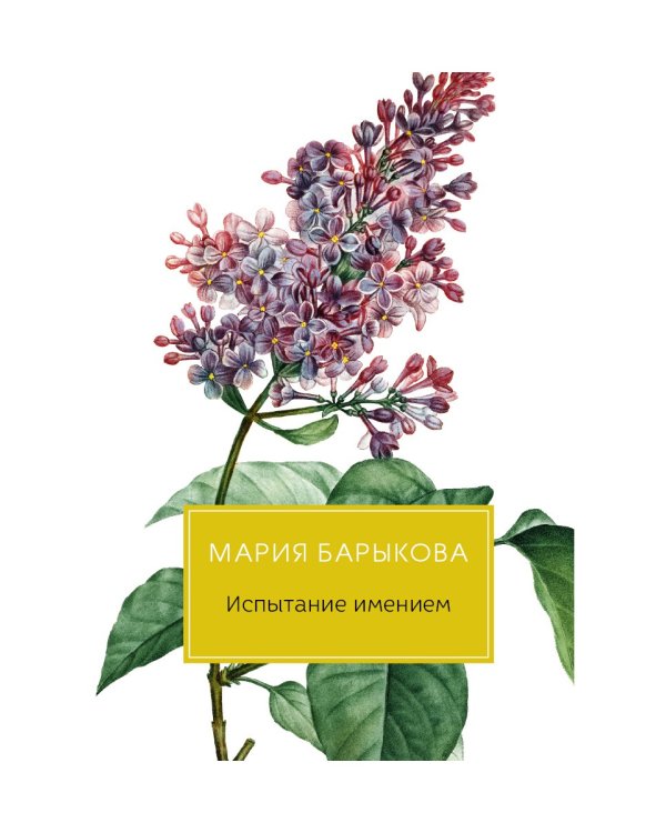 Испытание имением