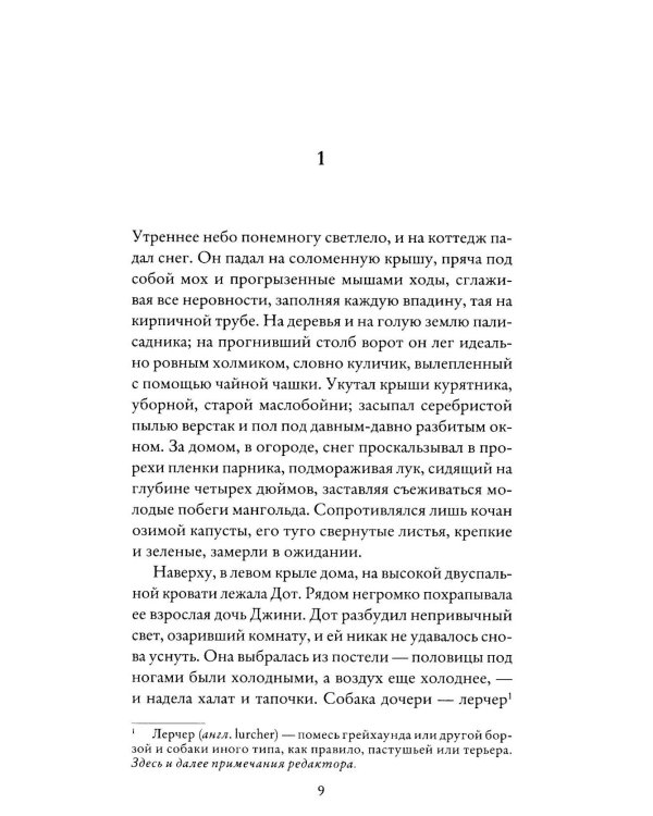 Зыбкая почва