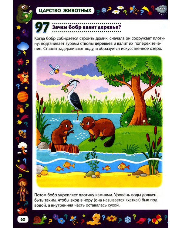 Детская энциклопедия для детей от 5 до 9 лет. 222 ответа на вопросы обо всем на свете